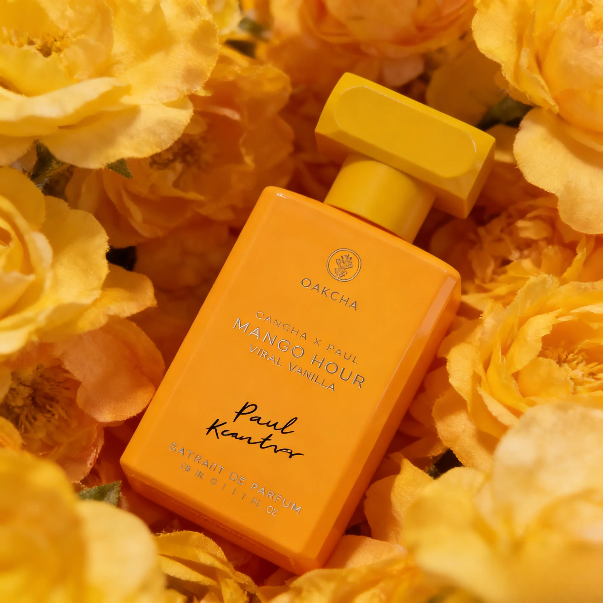 OAKCHA Serisi Erkek & Kadın Pa - You Perfume Fragrance incelemesi ve fiyatı