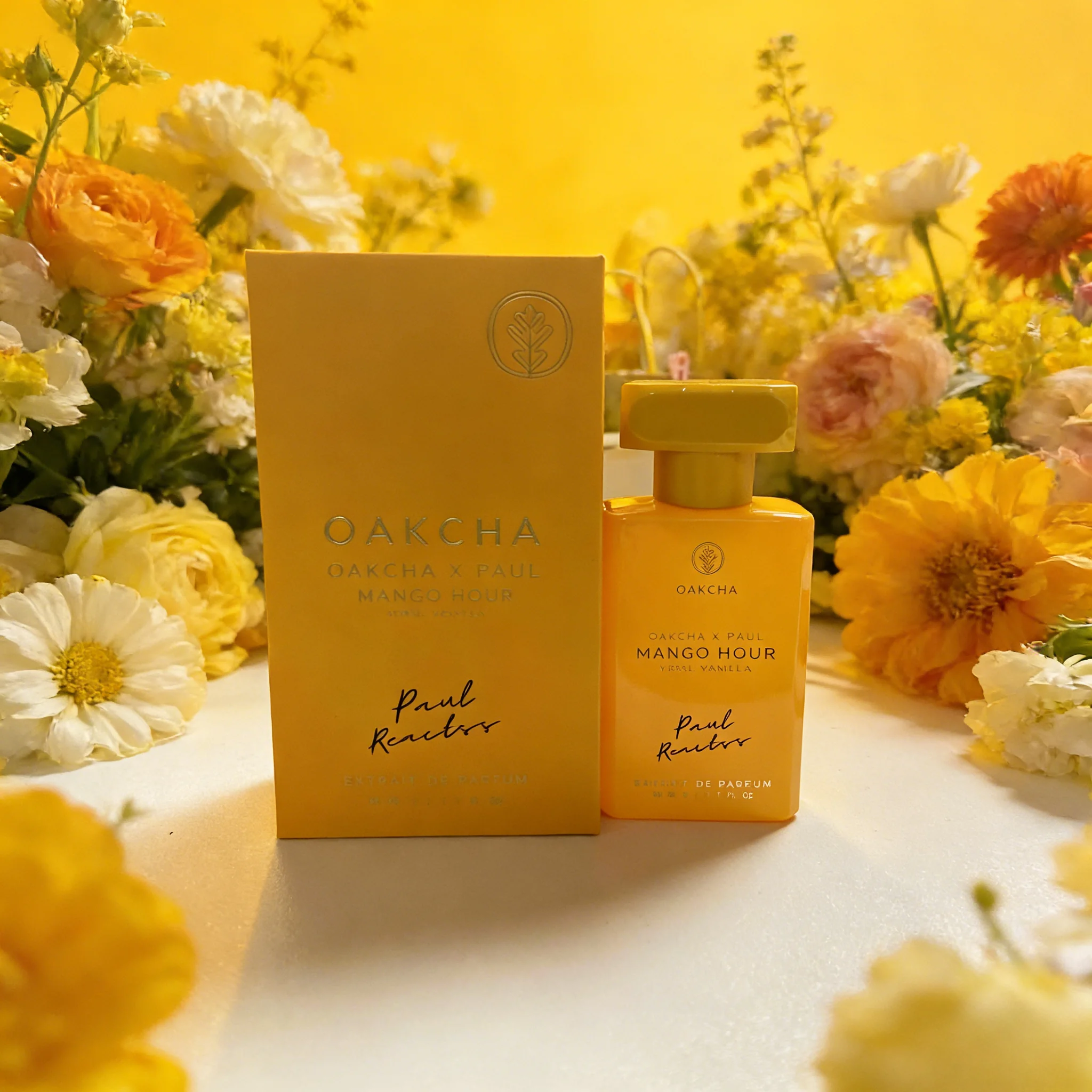 OAKCHA Serisi Erkek & Kadın Pa - You Perfume Fragrance incelemesi ve fiyatı